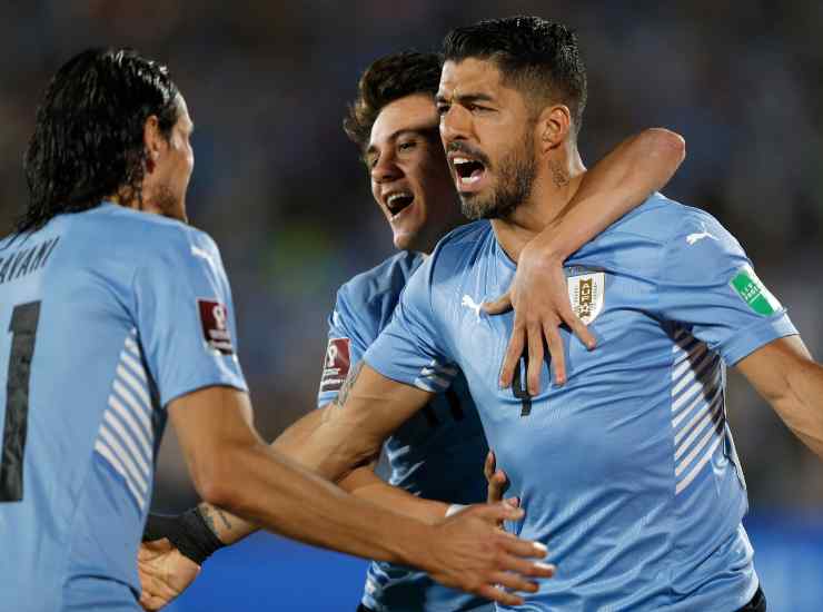Suarez con la maglia dell'Uruguay - credits: Getty Images. Il Calcio Magazine